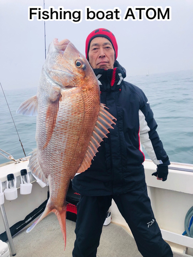 マダイの釣果