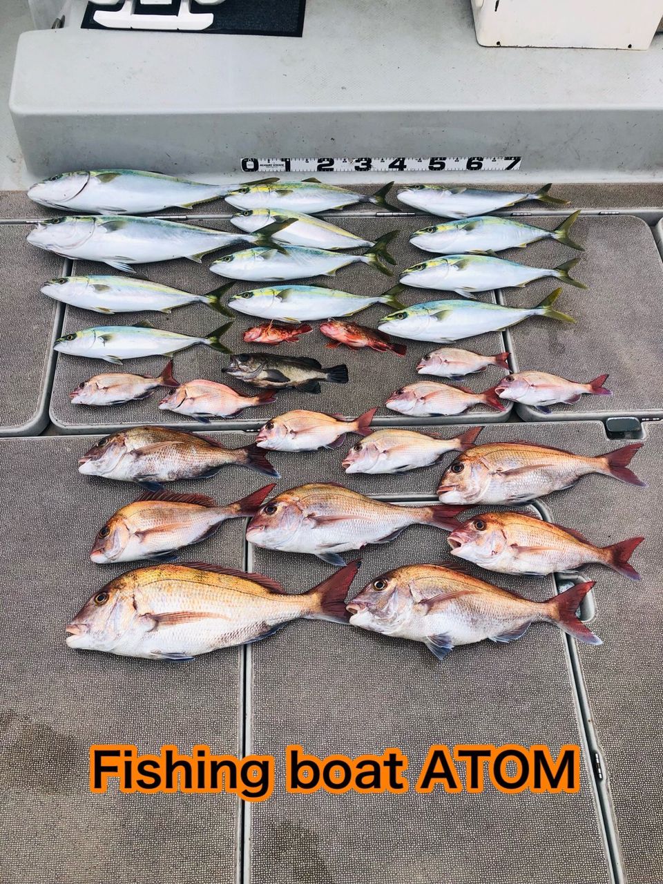 fishingboat.atomさんの釣果 2枚目の画像