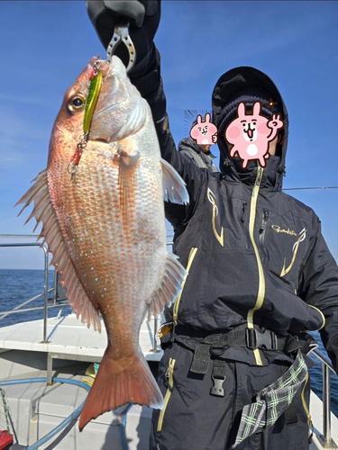 マダイの釣果