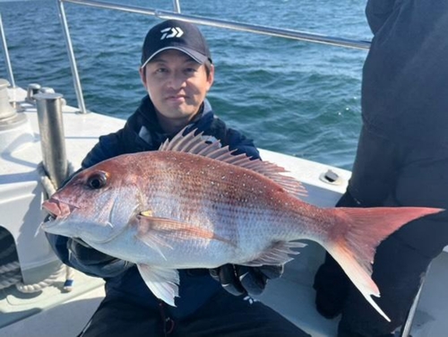 マダイの釣果