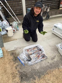 マイカの釣果