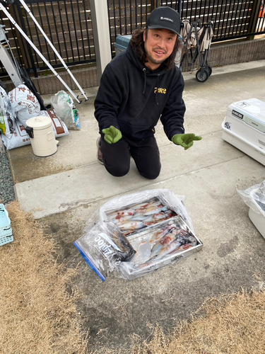 マイカの釣果