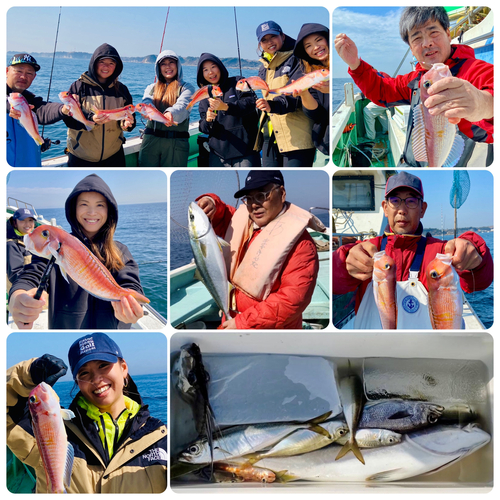 アマダイの釣果