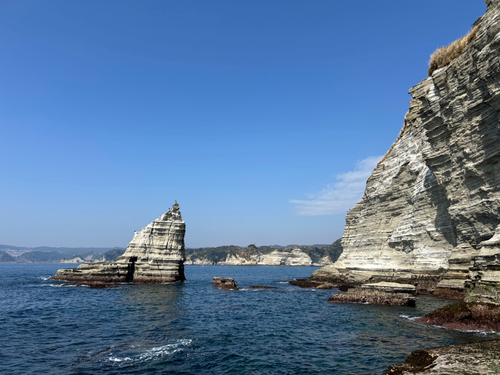 メジナの釣果