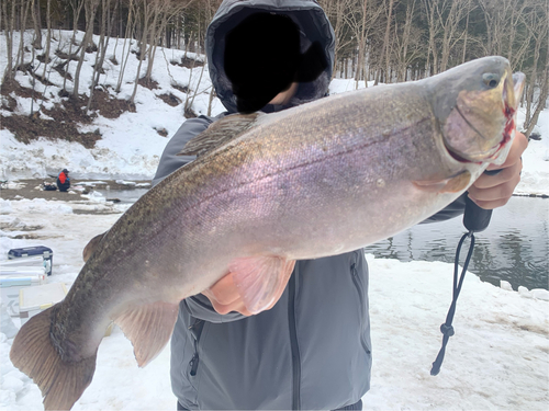 トラウトの釣果