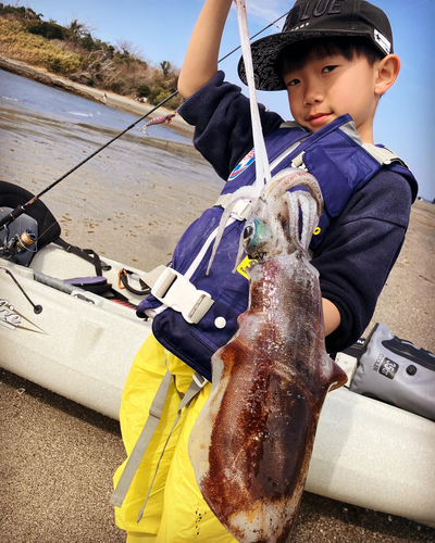 館山湾