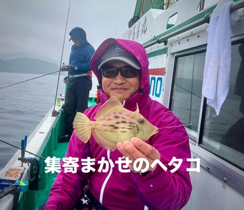 カワハギの釣果