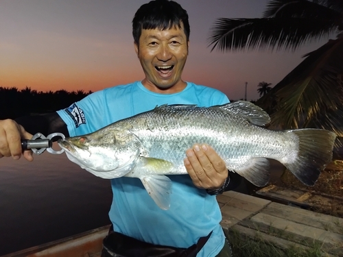 バラマンディの釣果