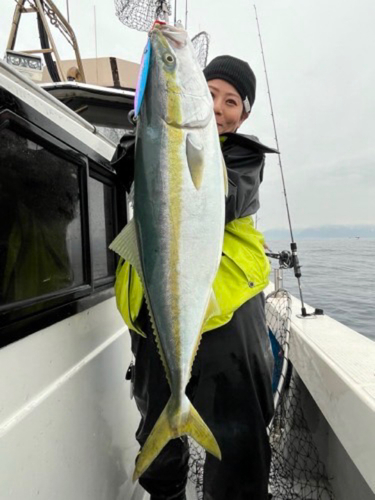 ブリの釣果