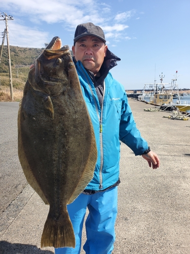 ヒラメの釣果