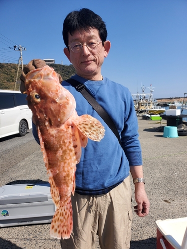 オニカサゴの釣果