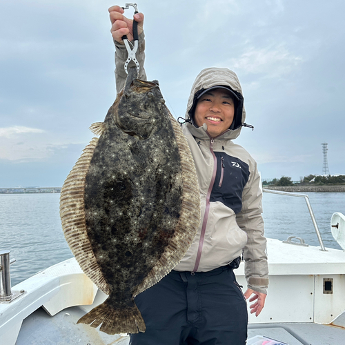 ヒラメの釣果