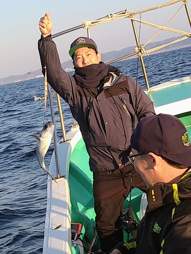 メダイの釣果