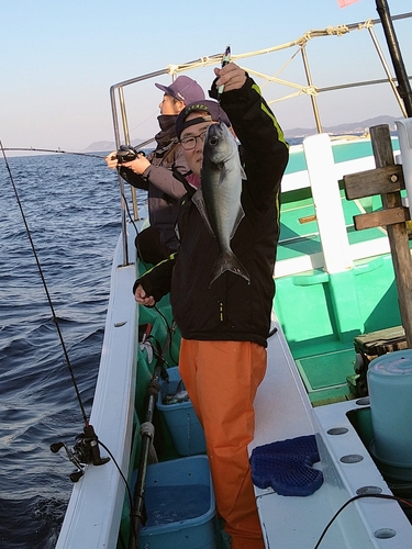 メダイの釣果