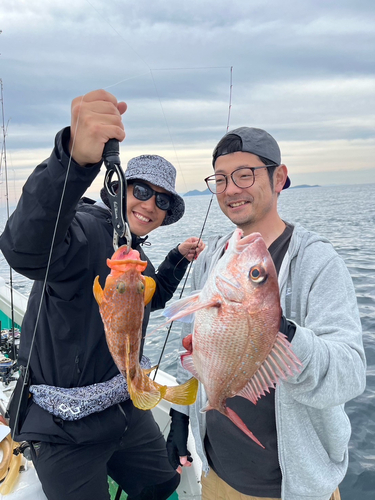 カンパチの釣果