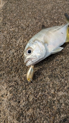 沖縄本島北部