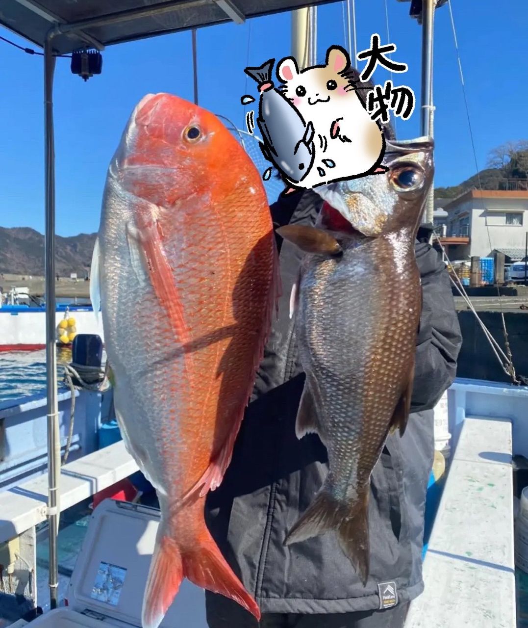 中乗りゆずまるさんの釣果 1枚目の画像