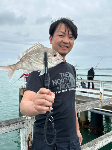 タイの釣果