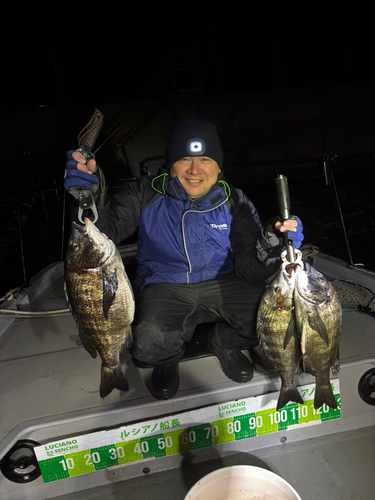 クロダイの釣果