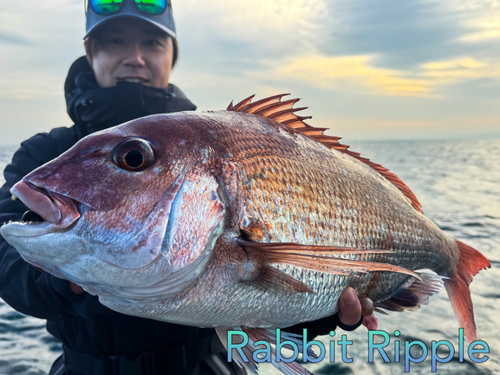 タイの釣果