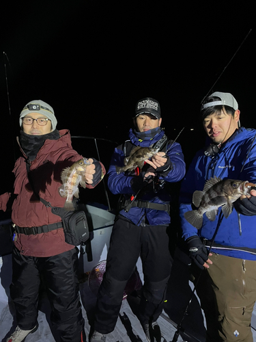 メバルの釣果