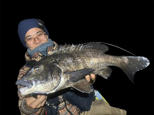 ムラソイの釣果