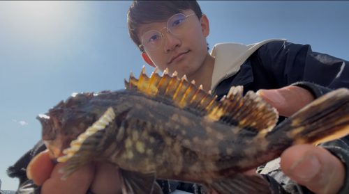 若洲海浜公園海釣り施設