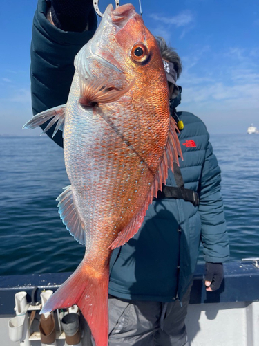 タイの釣果