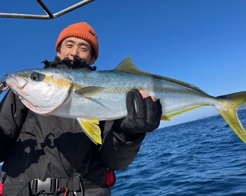 ヒラマサの釣果