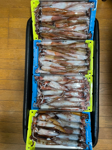 釣果