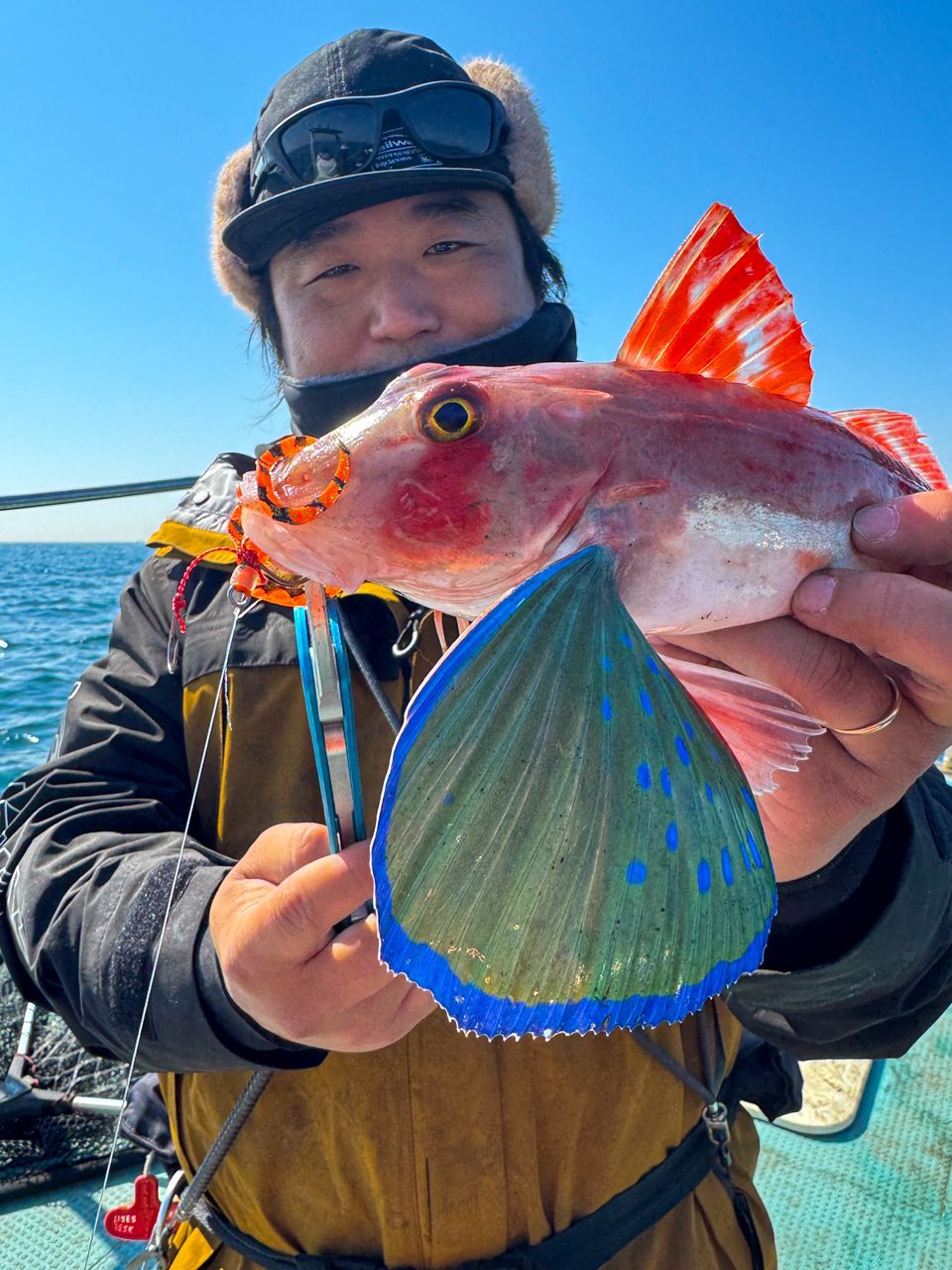 甲斐大地さんの釣果 2枚目の画像