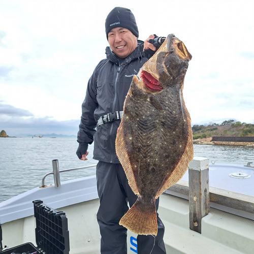 ヒラメの釣果