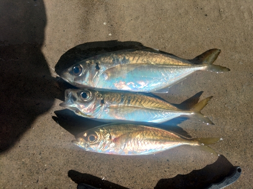 静岡県東部