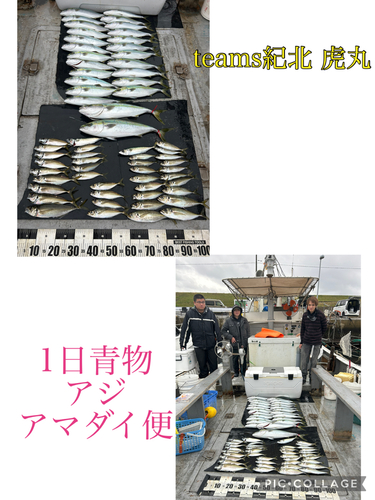 メジロの釣果