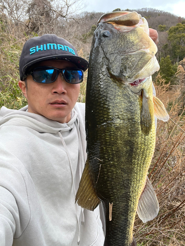 ブラックバスの釣果