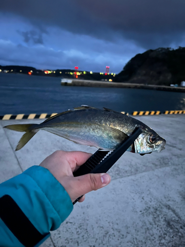 平戸島