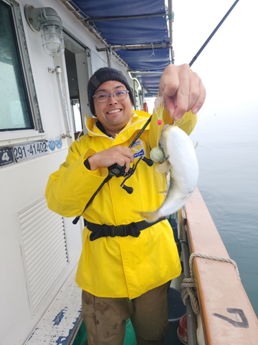 ショウサイフグの釣果