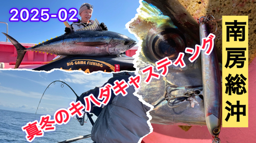 キハダマグロの釣果