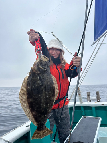 ヒラメの釣果