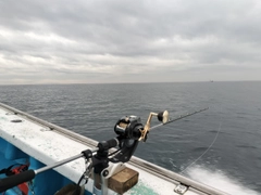 アマダイの釣果