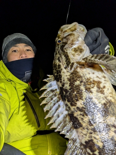 タケノコメバルの釣果