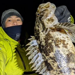 タケノコメバル