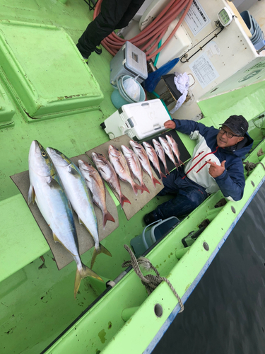 マダイの釣果