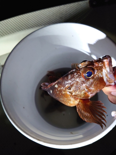 海ほたる付近