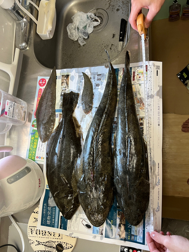 釣果