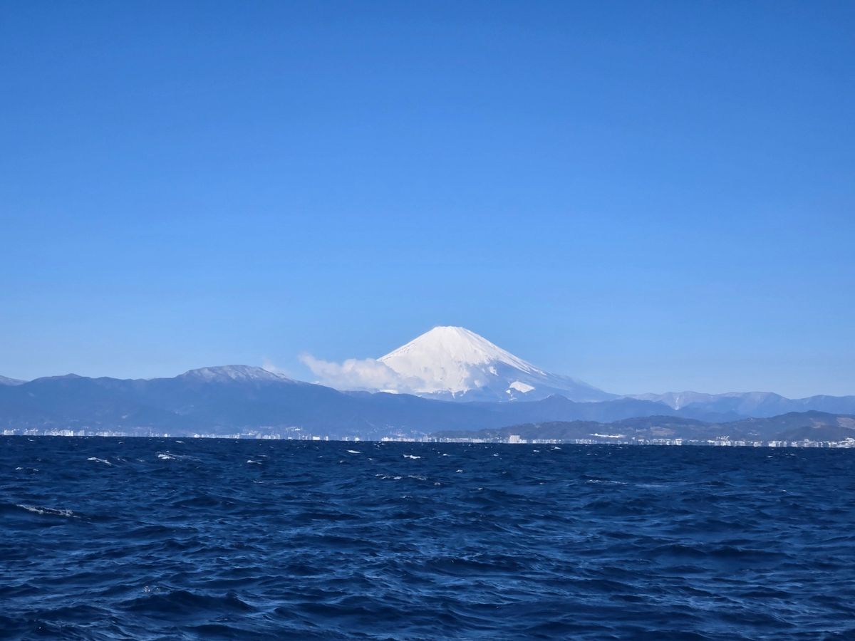 えいち3220さんの釣果 2枚目の画像