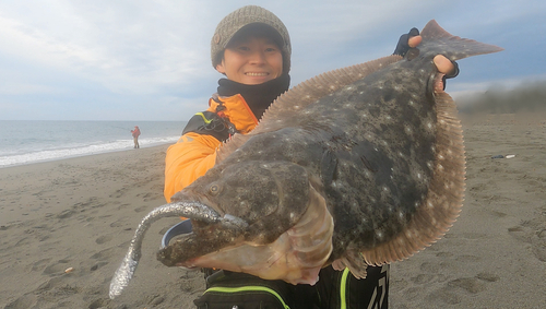 ヒラメの釣果