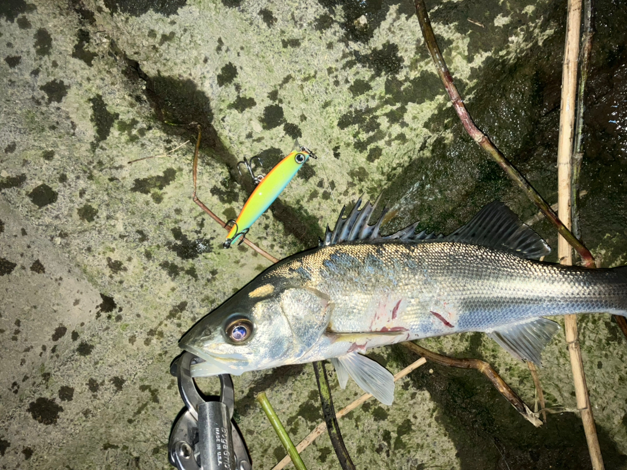 DAIWA 18モアザン PE TW 1000XHL-TWの最安値・インプレ・釣果