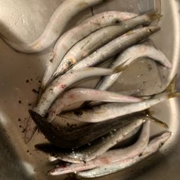 カマス