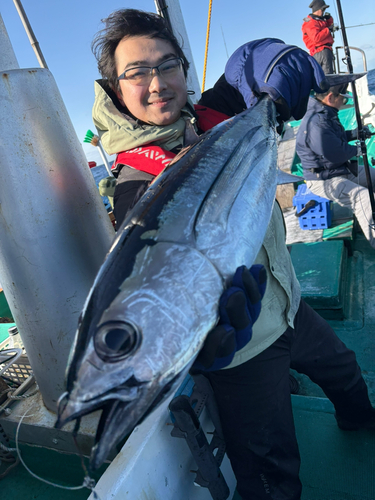 ビンチョウマグロの釣果